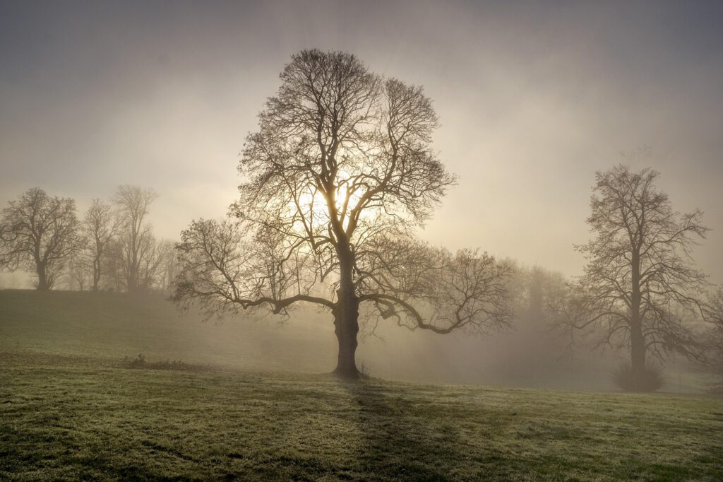 セルフホワイトニングで薬剤なしでも効果的に白い歯を手に入れる方法は？
