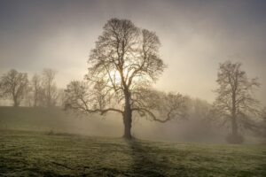 セルフホワイトニングで薬剤なしでも効果的に白い歯を手に入れる方法は？