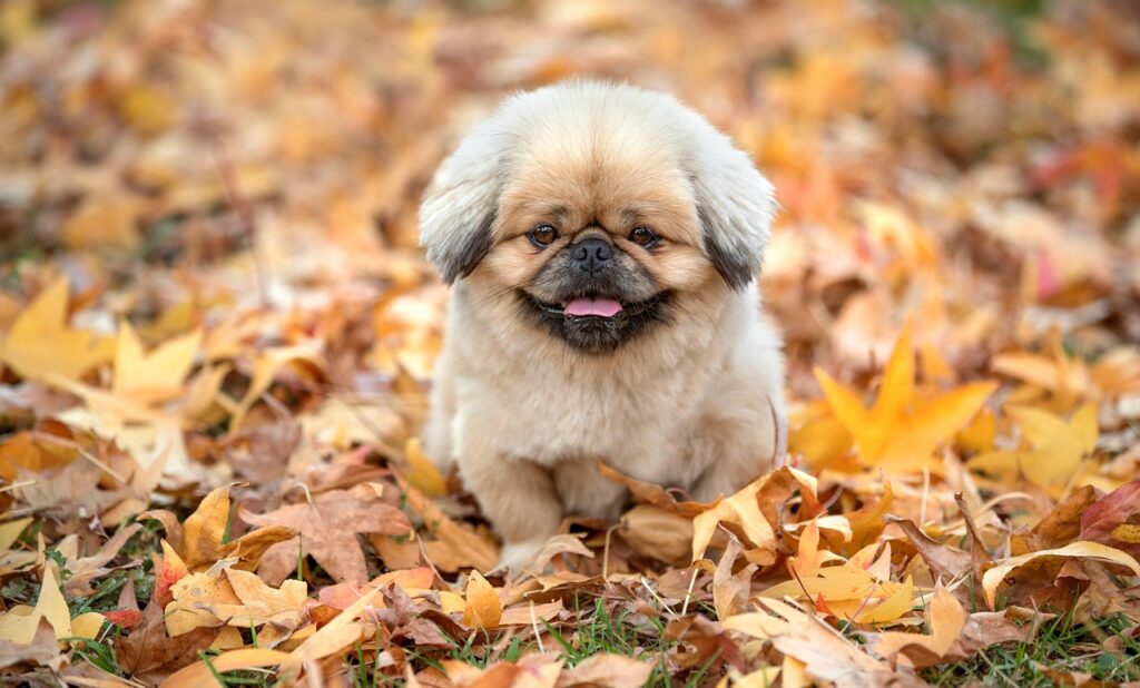 ホワイトニングで定額料金のお得なプランは？