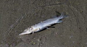 セルフホワイトニングサロンの料金はどれくらいかかるの？