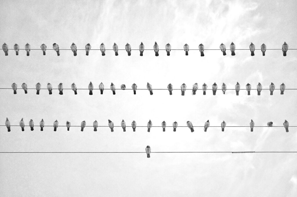 定額でお得なホームホワイトニングセットの選び方は？