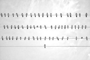 ホームホワイトニングの安い選択肢を比較するとどれがおすすめ？